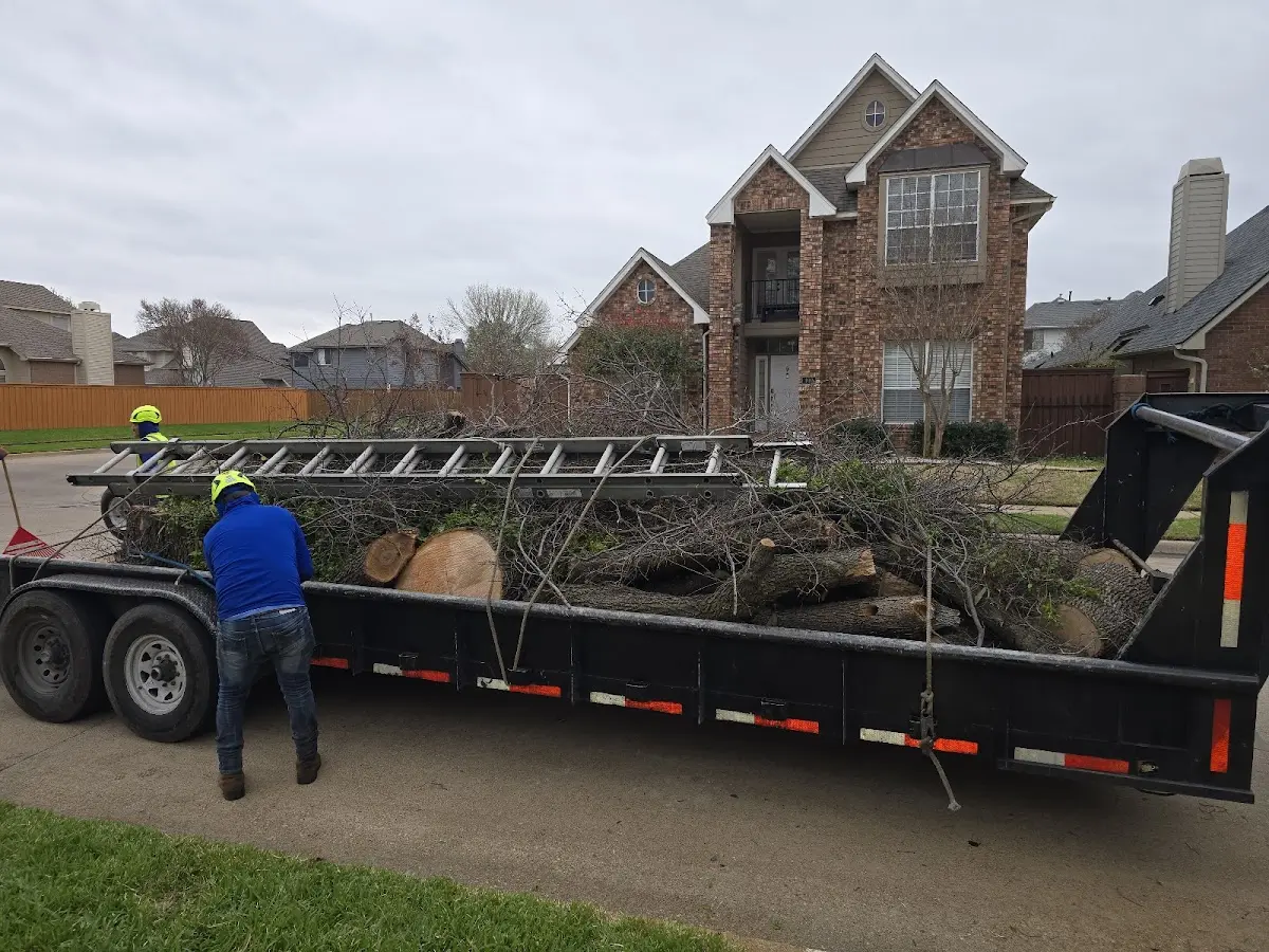 Expert Tree Fertilization with proper safety equipment in Gore